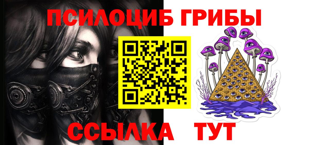 Псилоцибиновые грибы ЛСД Сегежа