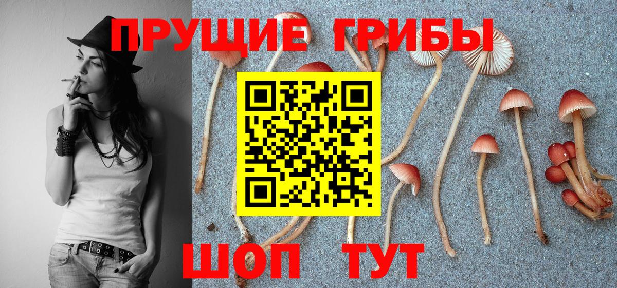 хочу наркоту  Псилоцибиновые грибы Psilocybine cubensis  Вход с VPN  Сегежа 