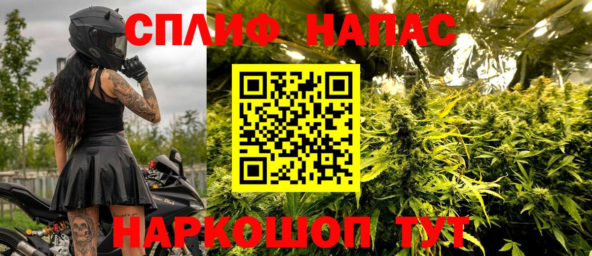 Сегежа  Конопля тримм  Вход с VPN  Бошки Шишки ГИДРОПОН  Марихуана Bruce Banner 